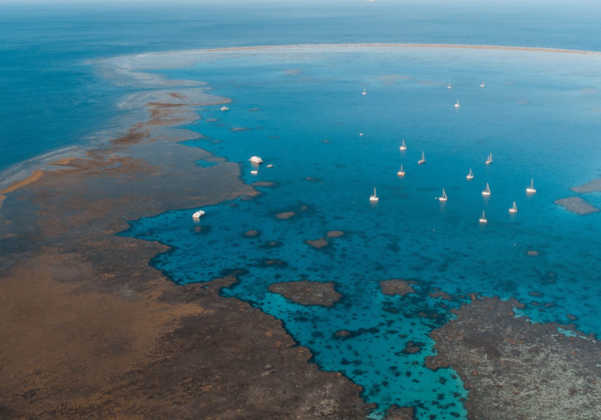 Lady Musgrave Island Overhead View 2